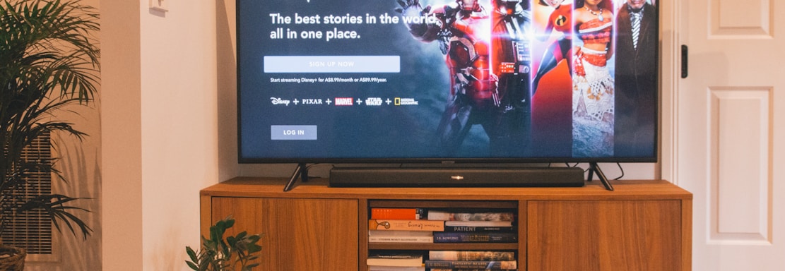 A flat-screen TV on a wooden stand displays Disney+ with various characters on the screen. The room has a plant on the floor and books stacked on the stand.